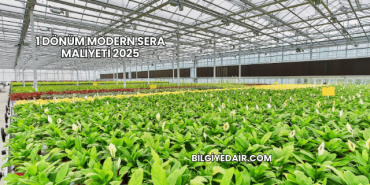 1 Dönüm Modern Sera Maliyeti 2025