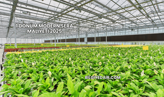 1 Dönüm Modern Sera Maliyeti 2025