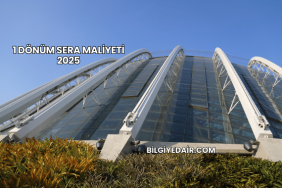 1 Dönüm Sera Maliyeti 2025