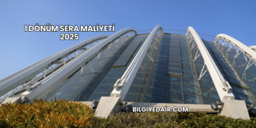 1 Dönüm Sera Maliyeti 2025