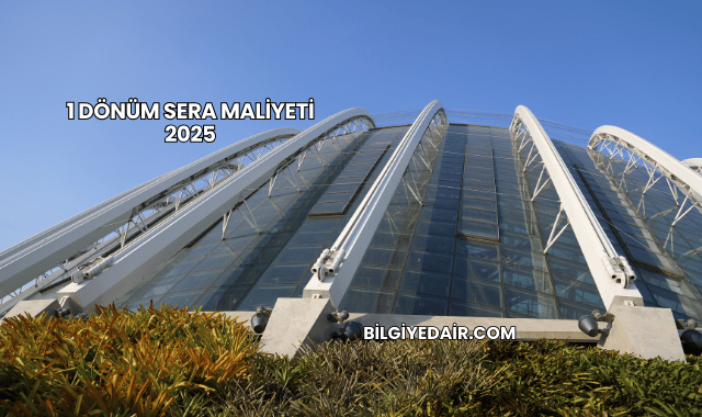 1 Dönüm Sera Maliyeti 2025
