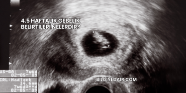4.5 Haftalık Gebelik Belirtileri Nelerdir?
