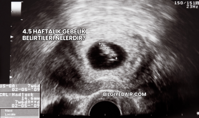 4.5 Haftalık Gebelik Belirtileri Nelerdir?