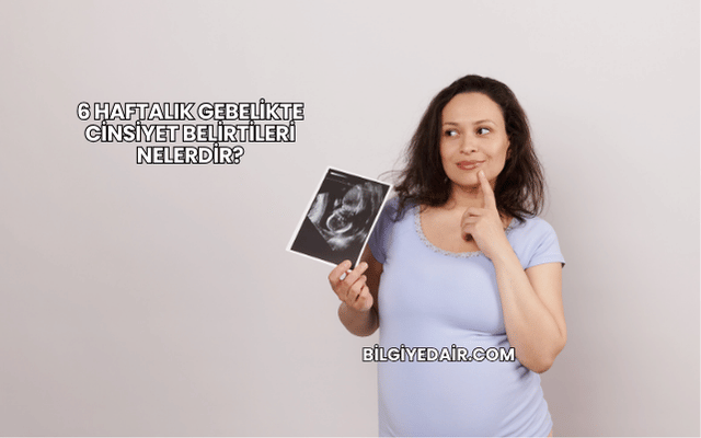 6 Haftalık Gebelikte Cinsiyet Belirtileri Nelerdir?
