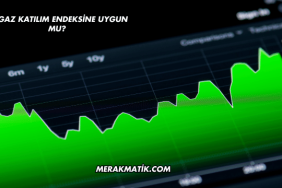 Ahgaz Katılım Endeksine Uygun mu?