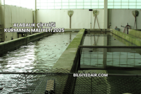 Alabalık Çiftliği Kurmanın Maliyeti 2025