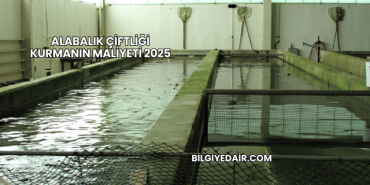 Alabalık Çiftliği Kurmanın Maliyeti 2025