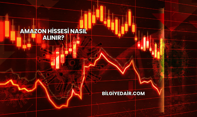 Amazon Hissesi Nasıl Alınır?