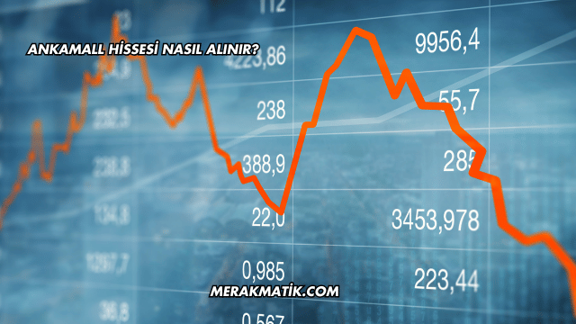 Ankamall Hissesi Nasıl Alınır?