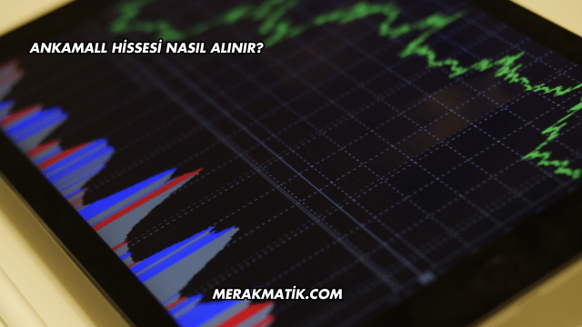 Ankamall Hissesi Nasıl Alınır?