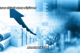 Aselsan Hissesi Neden Düşüyor?