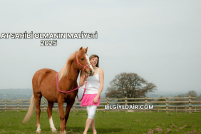 At Sahibi Olmanın Maliyeti 2025