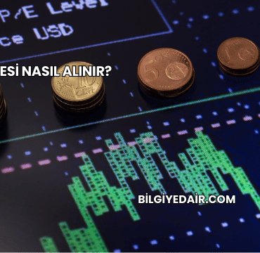 BİM Hissesi Nasıl Alınır?