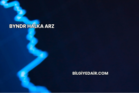 BYNDR Halka Arz