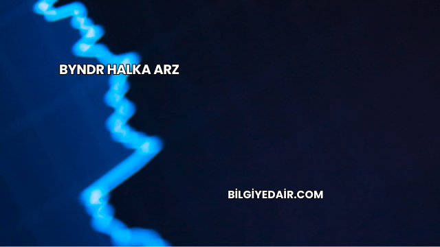BYNDR Halka Arz