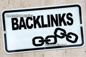 Backlink Nedir?