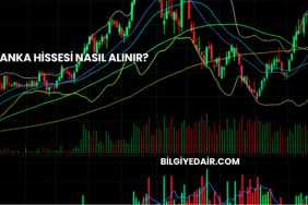 Banka Hissesi Nasıl Alınır?