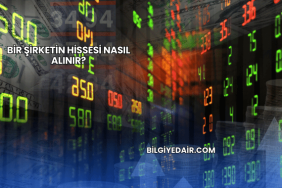 Bir Şirketin Hissesi Nasıl Alınır?