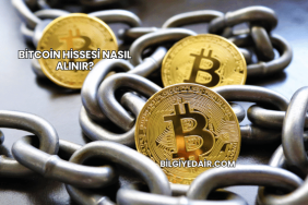 Bitcoin Hissesi Nasıl Alınır?