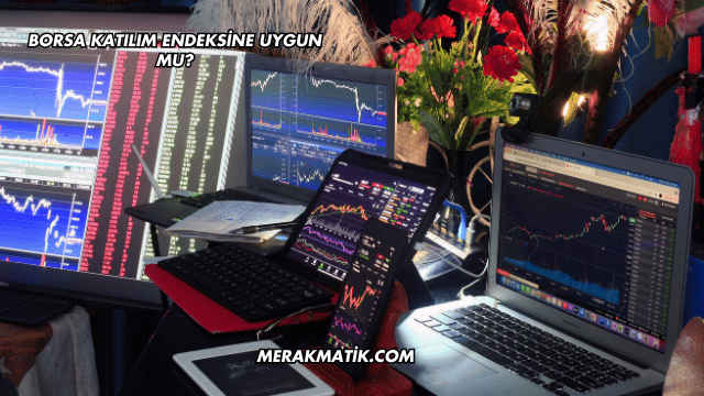Borsa Katılım Endeksine Uygun mu?