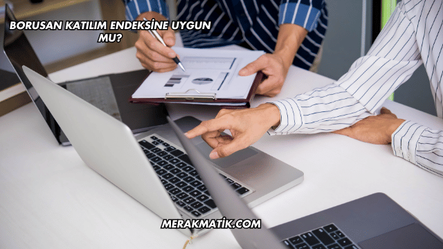 Borusan Katılım Endeksine Uygun mu?