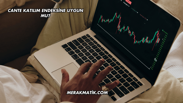CANTE Katılım Endeksine Uygun mu?