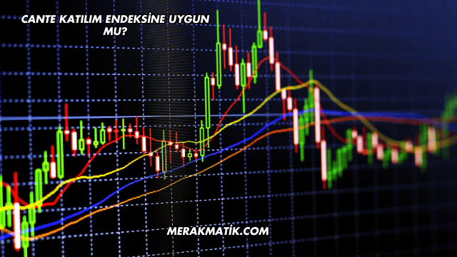 CANTE Katılım Endeksine Uygun mu?