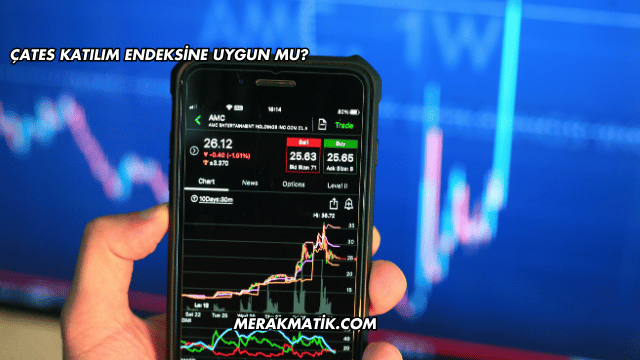 ÇATES Katılım Endeksine Uygun mu?