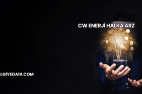 CW Enerji Halka Arz