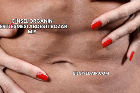 Cinsel Organın Sertleşmesi Abdesti Bozar mı?