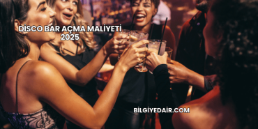 Disco Bar Açma Maliyeti 2025