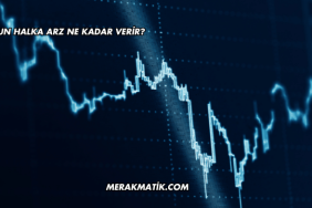 Eksun Halka Arz Ne Kadar Verir?