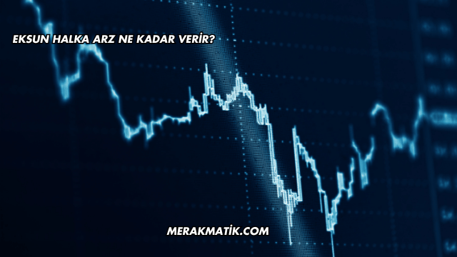 Eksun Halka Arz Ne Kadar Verir?