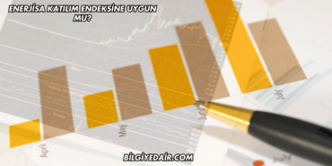 Enerjisa Katılım Endeksine Uygun mu?