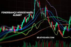 Fenerbahçe Hissesi Nasıl Alınır?