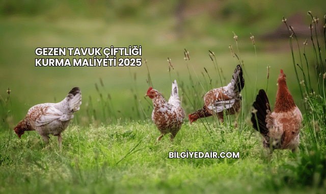 Gezen Tavuk Çiftliği Kurma Maliyeti 2025