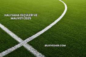 Halı Saha Ölçüleri ve Maliyeti 2025