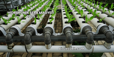 Hidroponik Sera Maliyeti 2025