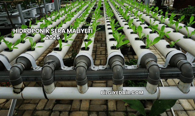Hidroponik Sera Maliyeti 2025