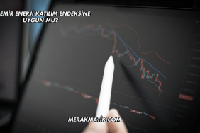 İZDEMİR Enerji Katılım Endeksine Uygun mu?