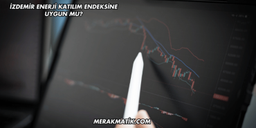 İZDEMİR Enerji Katılım Endeksine Uygun mu?