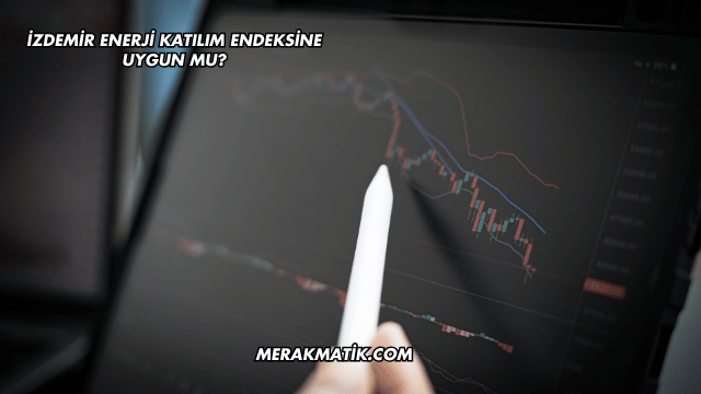 İZDEMİR Enerji Katılım Endeksine Uygun mu?