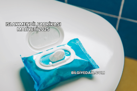 Islak Mendil Fabrikası Maliyeti 2025