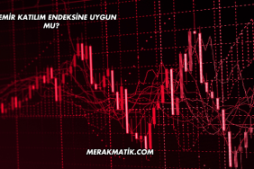 İzdemir Katılım Endeksine Uygun mu?