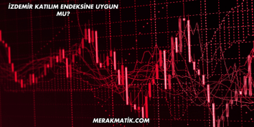 İzdemir Katılım Endeksine Uygun mu?