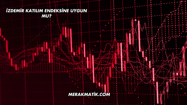 İzdemir Katılım Endeksine Uygun mu?