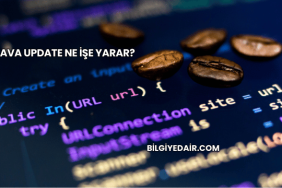 Java Update Ne İşe Yarar?