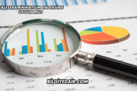 Kaleseramik Katılım Endeksine Uygun mu?