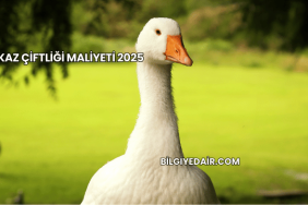Kaz Çiftliği Maliyeti 2025