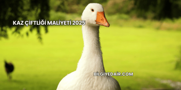 Kaz Çiftliği Maliyeti 2025